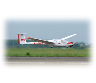Motoaliante ASK-21 circa 3,20m ARF 1/5e Modello Phoenix
