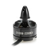 Moteur DXW D1806/2400 Rc Factory