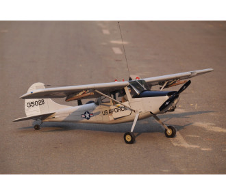 L-19 Birddog 55 size EP-GP ( 1,72m wingspan) silver version
