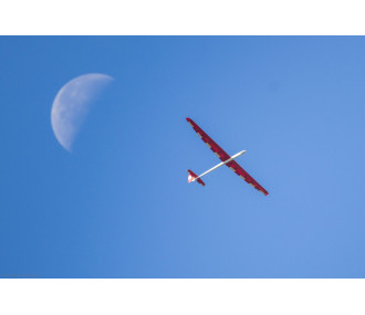 Avion Spike Aeronaut