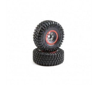 LOSI - Maxxis Creepy Crawler LT, Mounted (2): SuperRockRey