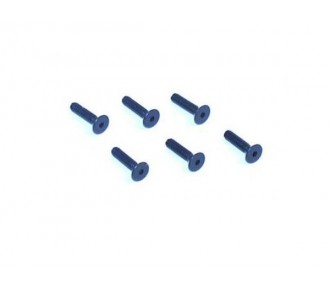 LOSI - 4-40 x 1/2 FH Vis (6)