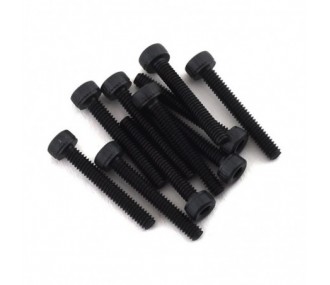 Vite a testa cilindrica AXIAL M2 x 14 mm (10) - AXI235007