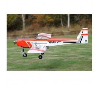Avion Ecotop - Bidule 55 - V3 ARF env.2.46m