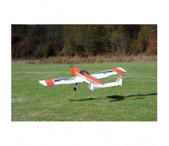 Avion Ecotop - Bidule 55 - V3 ARF env.2.46m