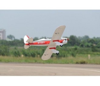 Phoenix Model Ryan STA GP/EP ARF 1,80m
