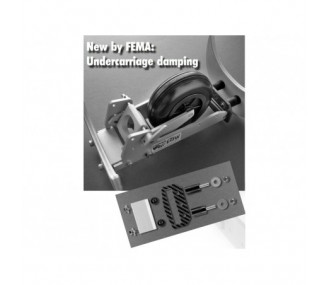 Kit Amortisseur train FEMA #9810