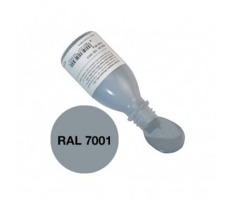 Pâte époxy colorante gris (RAL 7001) 50g R&G