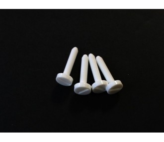 Nylonschrauben integrierter Schlitz M4x20mm MP JET (4 Stck.)