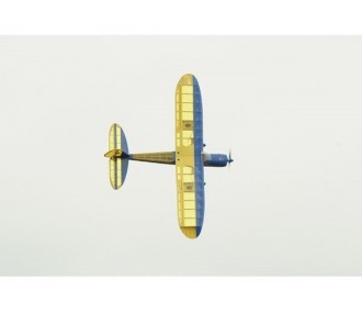 Flugzeug Phoenix Model Rainbow EP 1,60m