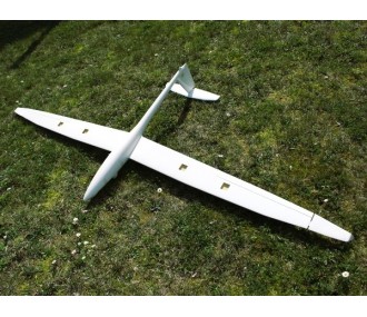 DG-1001 2,50m ARF - Modelo Real