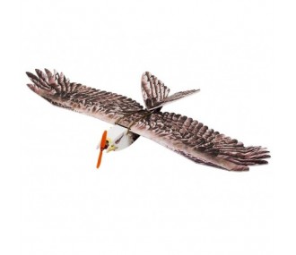 Aquila II 1430mm ARF DW HOBBY (solo kit)