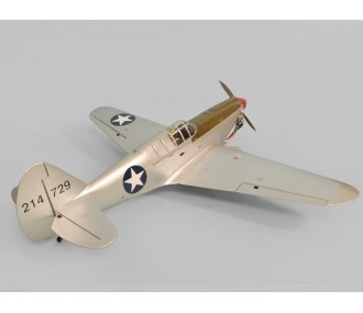 Phoenix Modelo P40 Kitty Hawk .91-15CC GP/EP ARF 1.61m