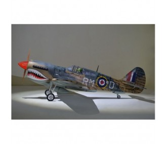 Flugzeug Phoenix Model P40 Warhawk 30-35cc GP/EP ARF 2.04m