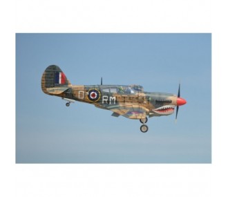 Avion Phoenix Model P40 Warhawk 30-35cc GP/EP ARF 2.04m