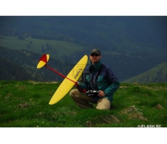 Sunbird Full Carbon approx.1.50m white & red RCRCM