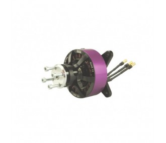 Motore brushless Hacker Q80-8M V2