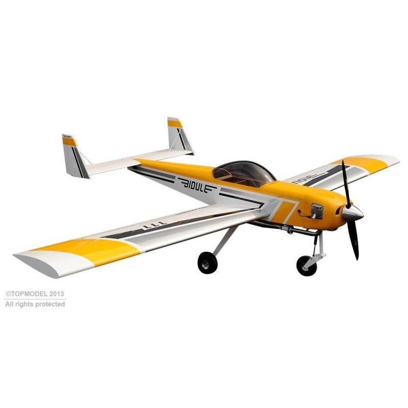 Avion Ecotop BIDULE 111 ARF env.3.00m