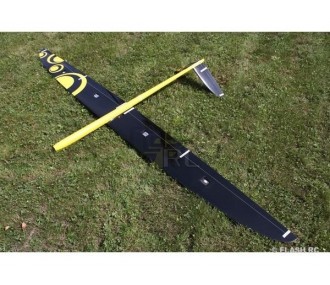 E-Strega Full Carbon 2,90m amarillo y negro RCRCM