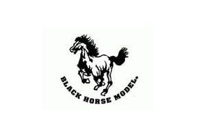 BLACK HORSE MODELS