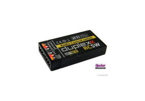 Interrupteurs électroniques et magnétiques - Flash RC
