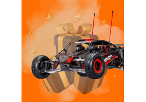 Gift selection for RC car beginners