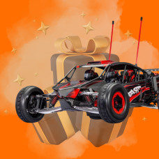 Gift selection for RC car beginners